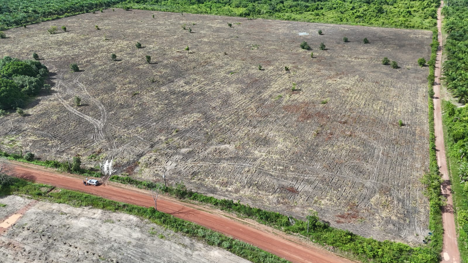Área gradeada às margens de ramal, pronta para plantio