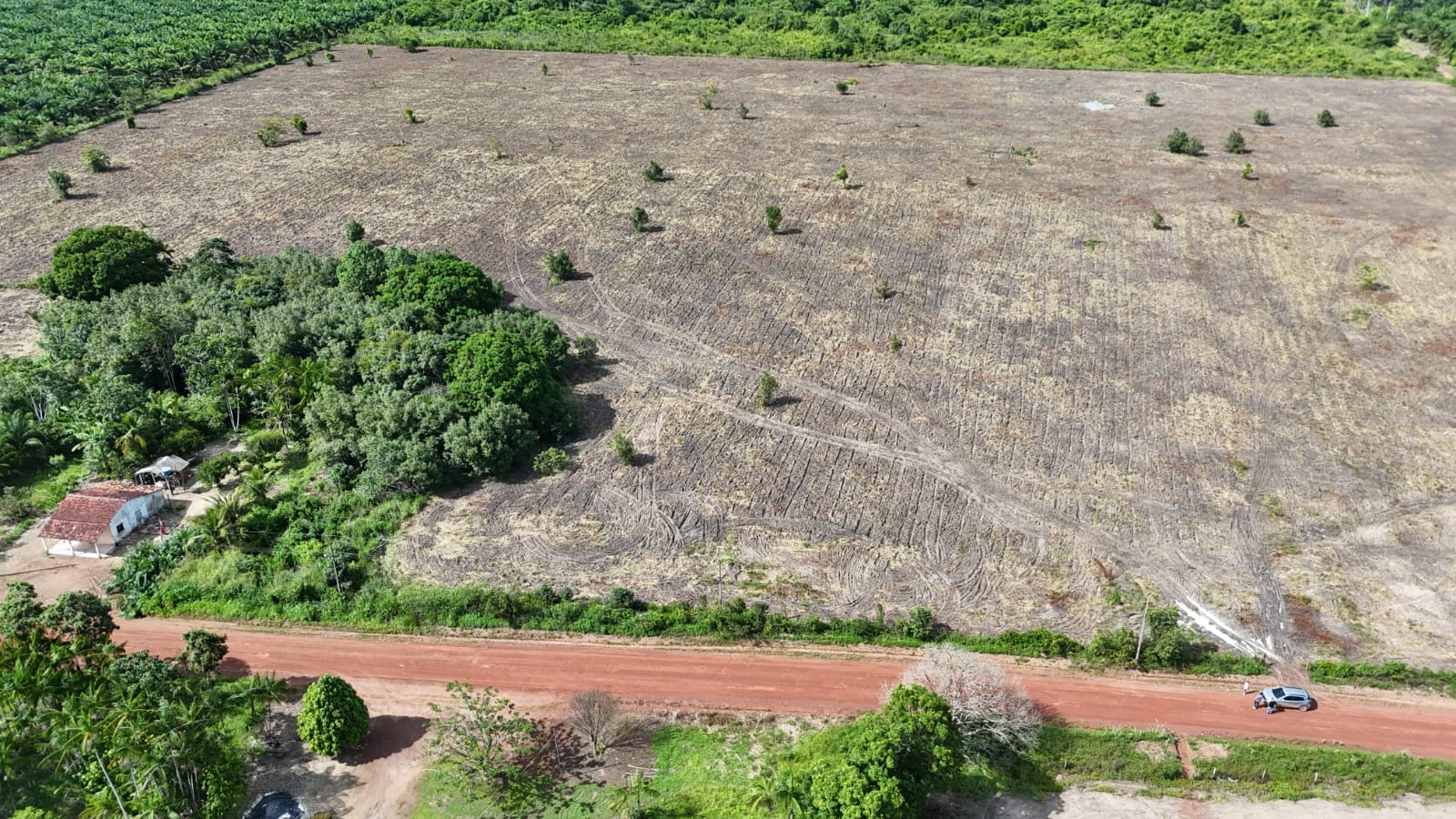 Área preparada ao lado de mata e moradia, com acesso pelo ramal